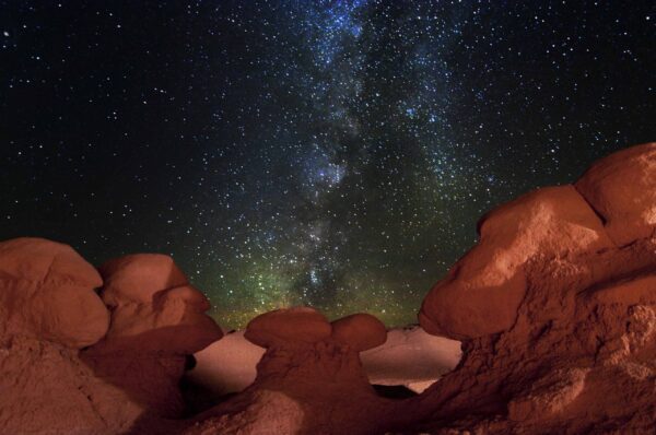 Gorilla Council Under the Stars