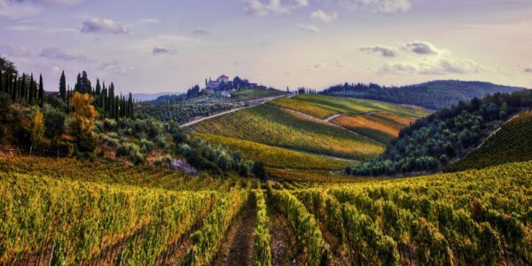 Chianti Dream