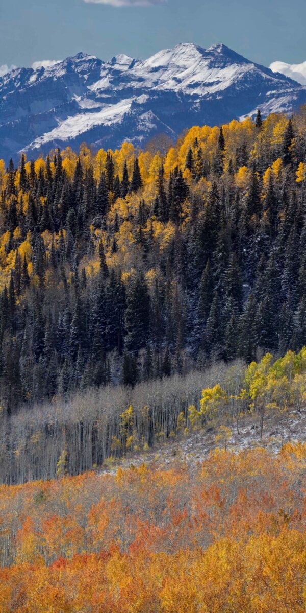 Timpanogos Fall