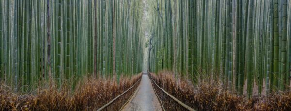 Zen Path