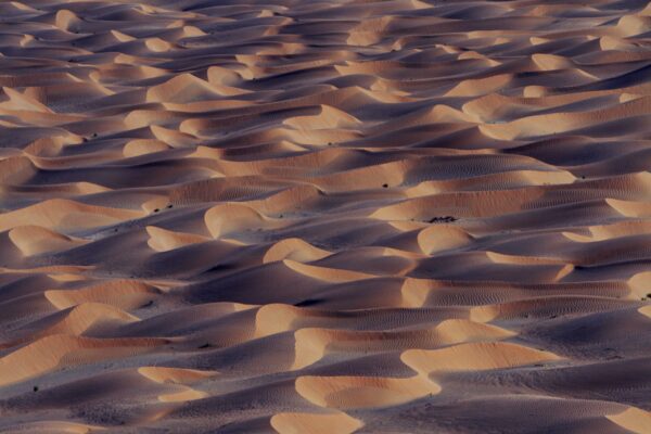 Busy Dunes
