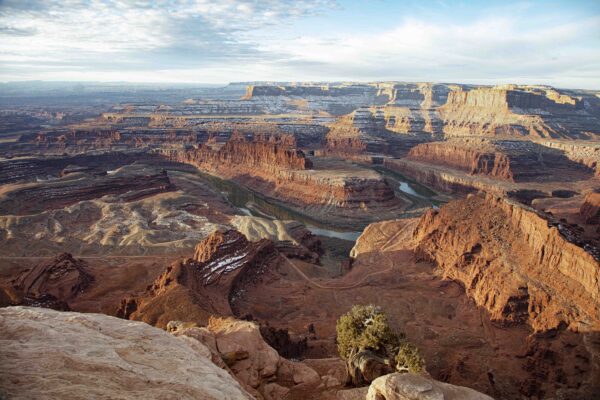 Dead Horse Point with Tree