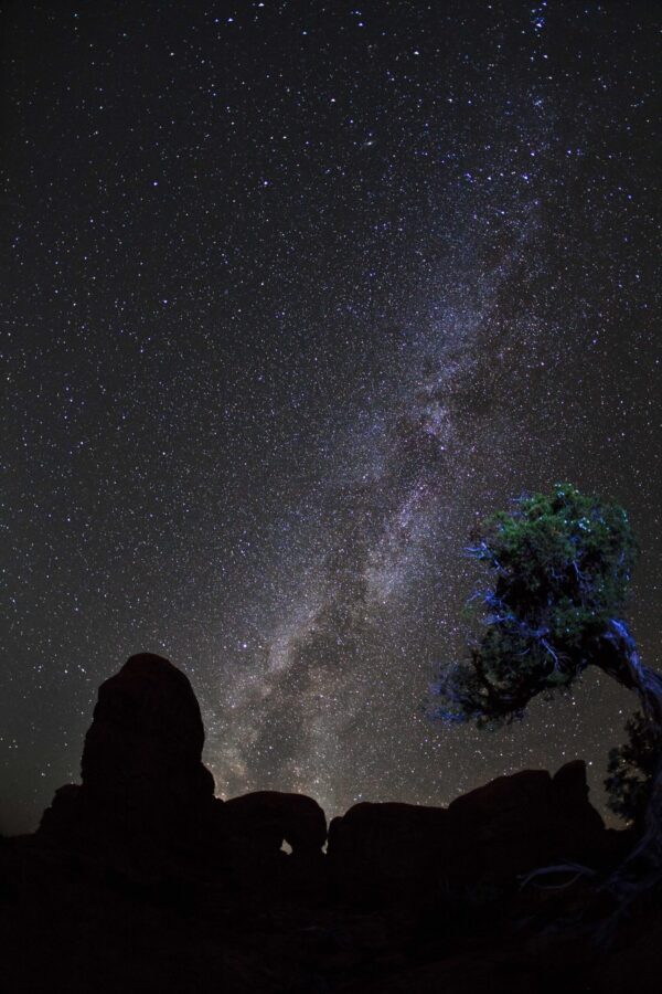 Galactic Juniper