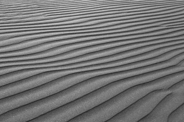 Silver Sands