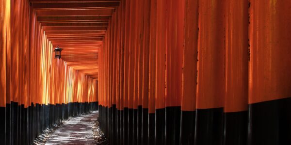 Kyoto Gates