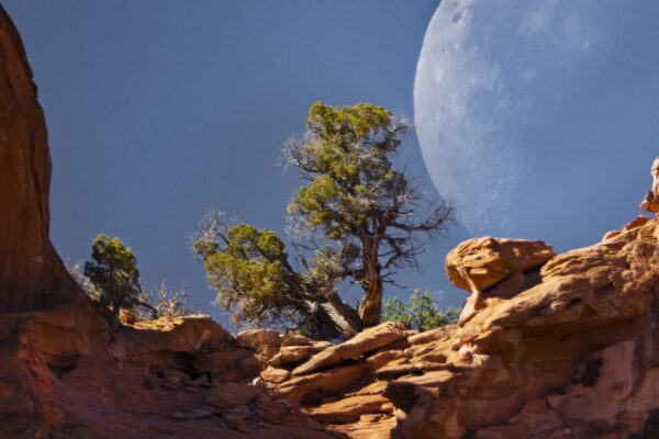 Moonset on Potash Road