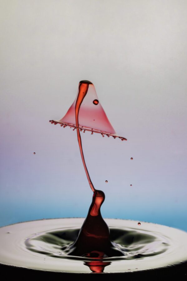 Penguin Umbrella