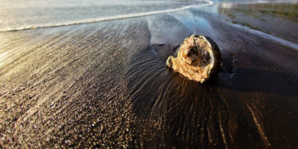 Sand and Shell