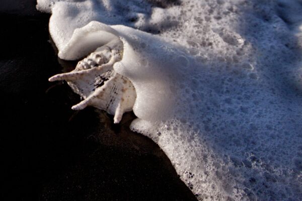 Sea Foam Blanket