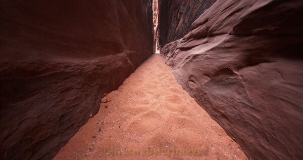 Path Forward