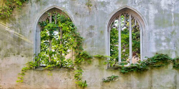 2 windows C