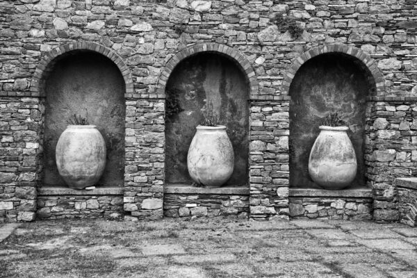 3 Pots B&W