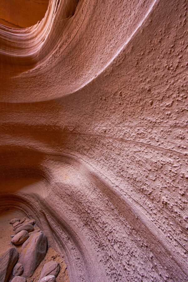 Antelope Textures