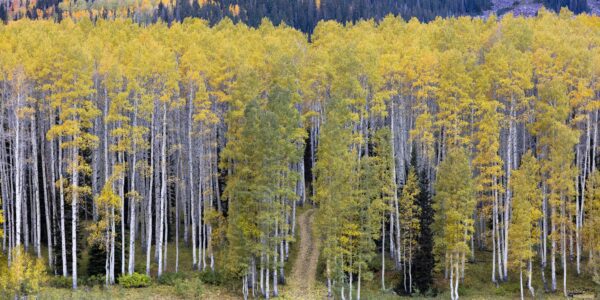 Aspen Passage