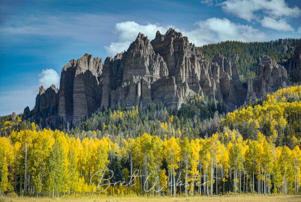 Aspen Pinnacles