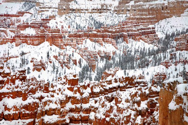 Bryce Snowy Hillside