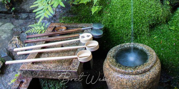 Buddha Springs
