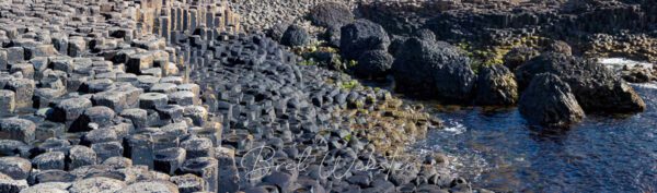 Giants Causeway Detail