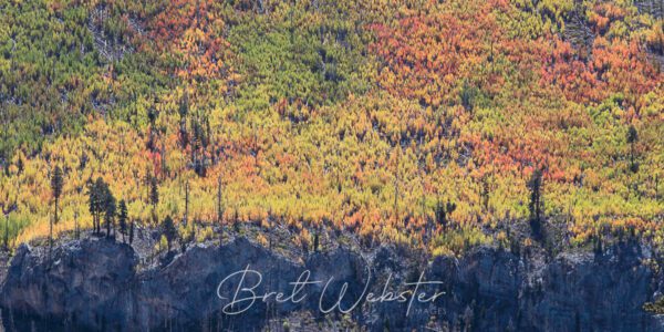 Great Basin Color 2.0