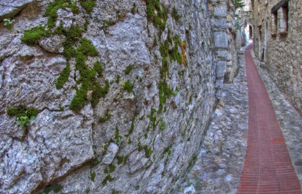 Eze Walkway and Moss