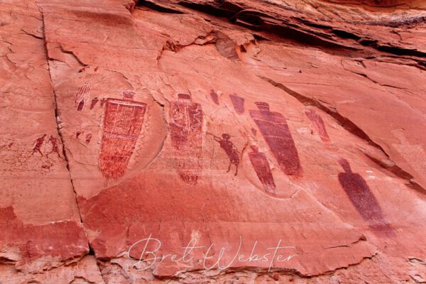 Great Gallery Detail 2 2229