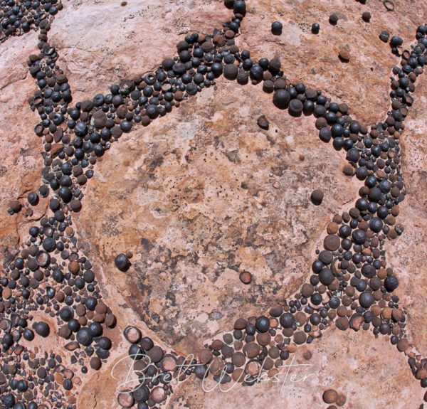 Moqui Marble Gathering