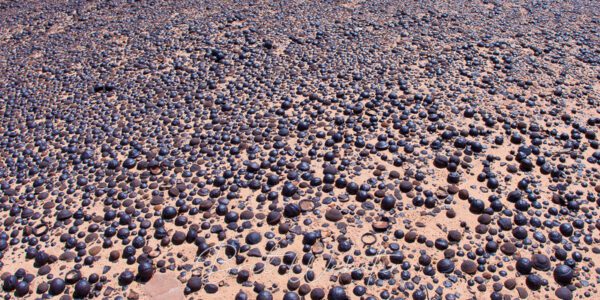 Moqui Population Explosion C