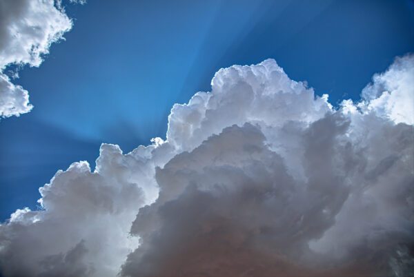Looking Up