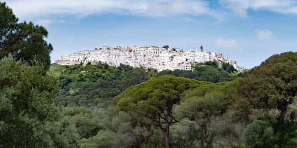 Pinos Piñoneros y los Pueblos Blancos