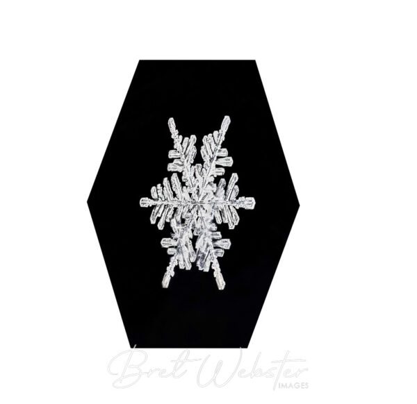 Snowflake Hexagon