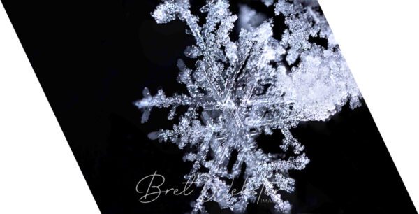 Snowflake Trapezoid