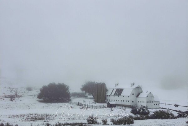 White Barn Foggy