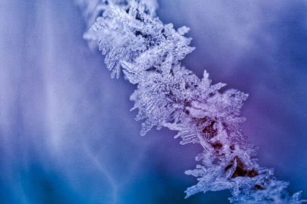 January Frost at Bountiful Lake r