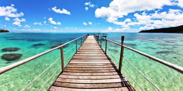 Paradise Dock