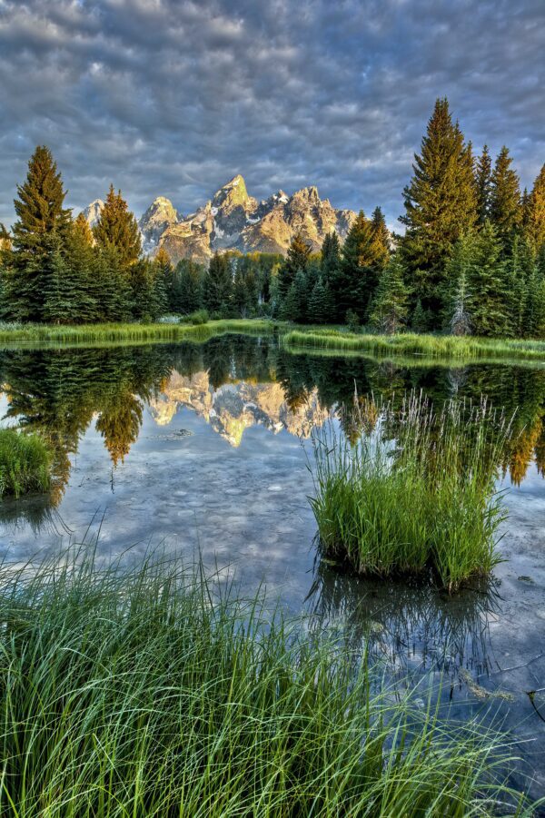 Tetons at the Pond