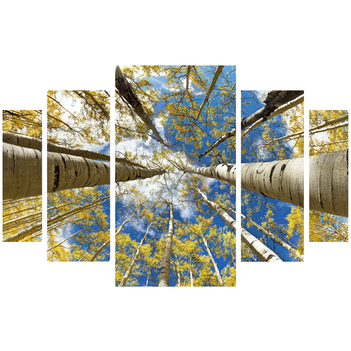 Quintych - Bret Webster Images